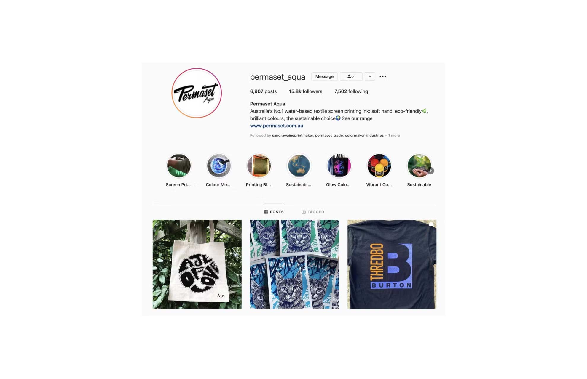 Permaset Aqua feature screenshot of instagram profile