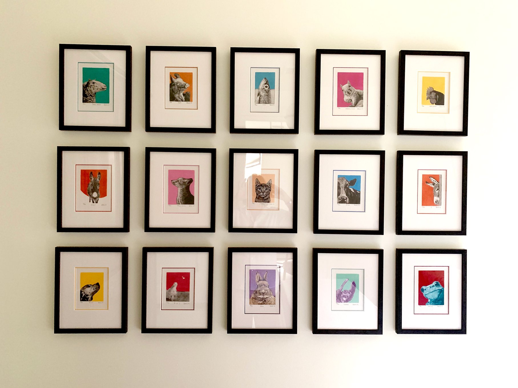 Collection of Studio Daboo etchings on a clients wall